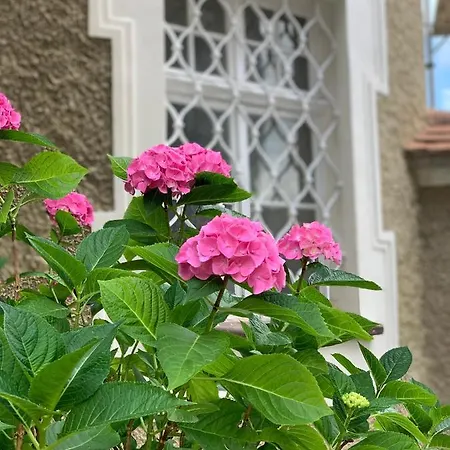 Schloss Huerbel Rosengarten - Daire